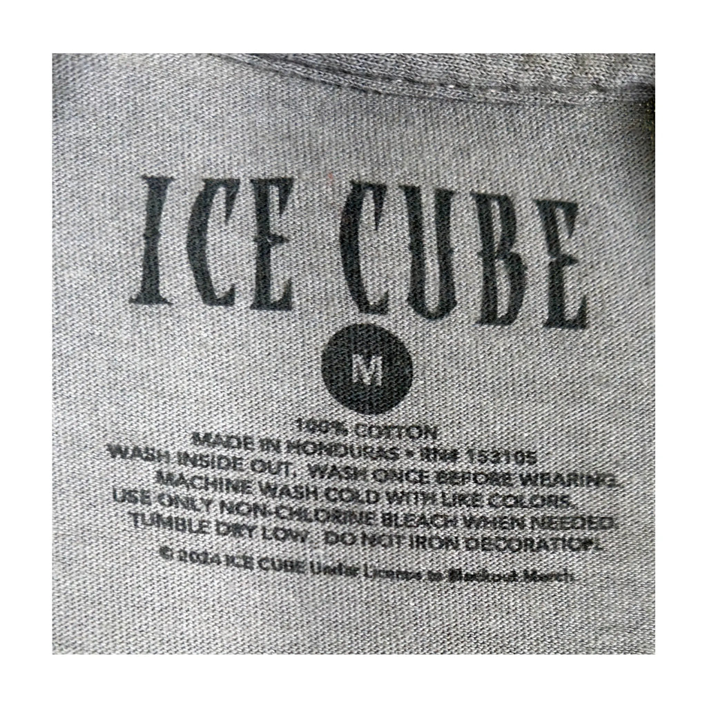 Official Ice Cube "Today Was A Good Day" Graphic Rap Tee