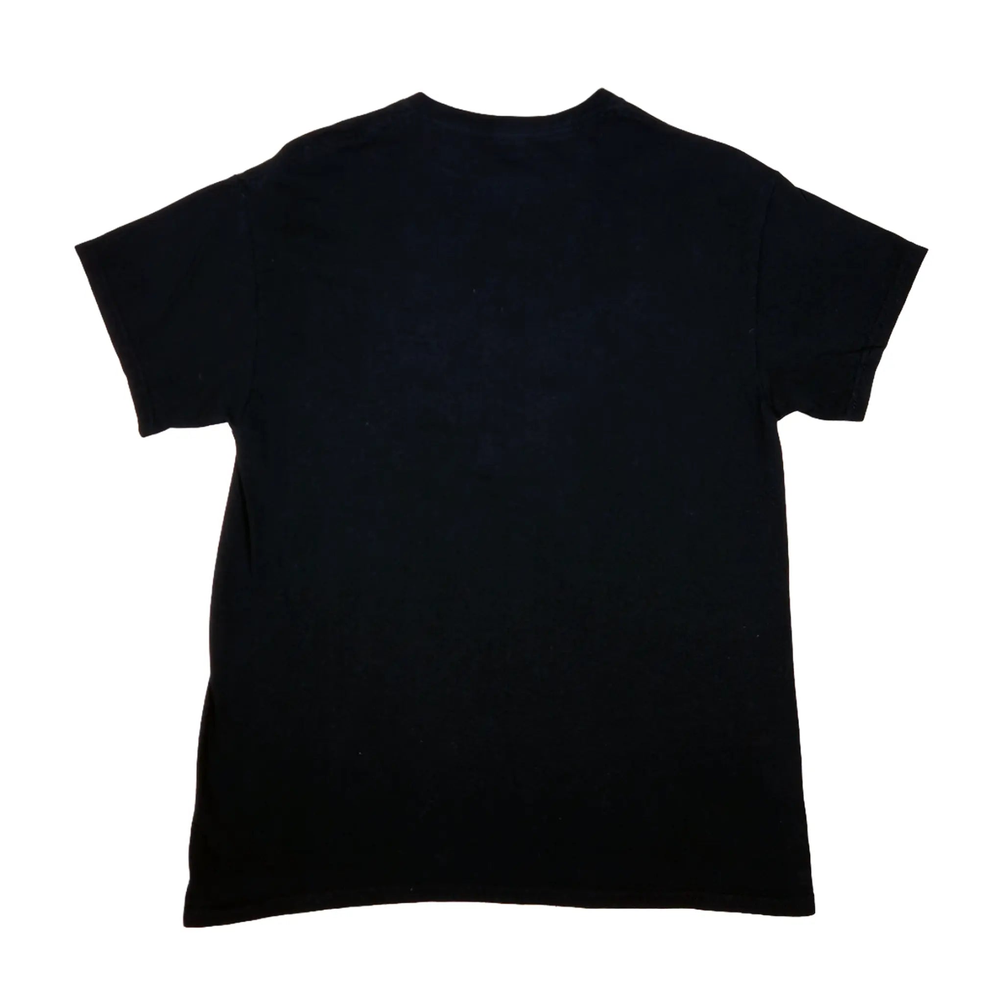 Official Aaliyah Red Portrait Graphic Tee